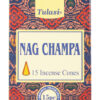 CONO NAGCHAMPA
