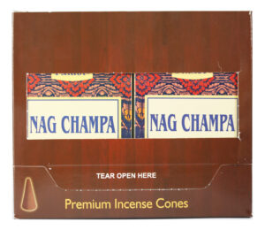 CONO NAGCHAMPA